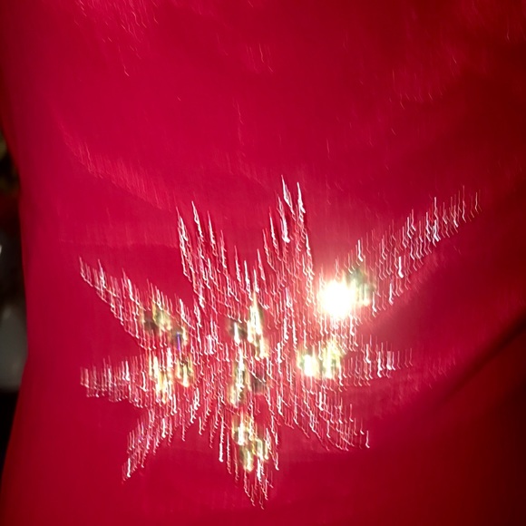 NWT burgundy EVERPRETTY dress size10 - Picture 4 of 8